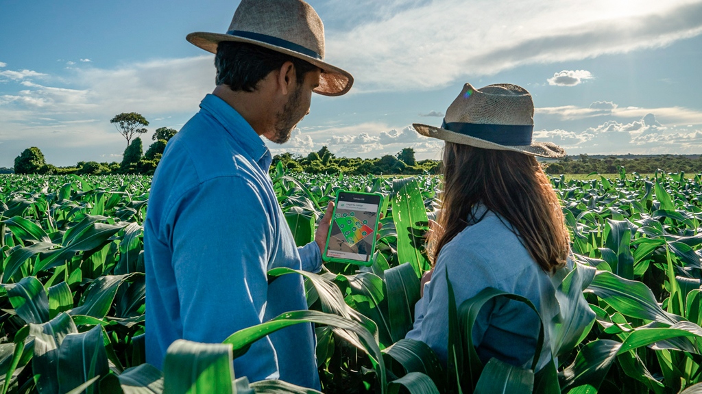 PILLAR_PAGE_4_0_01-1